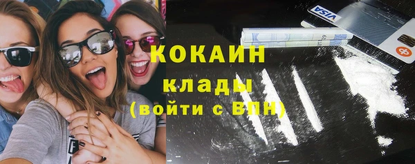 мет Гатчина