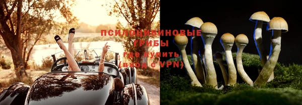 гидропоника Пролетарск