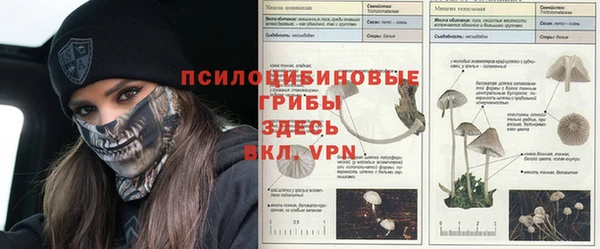 кокс Рославль