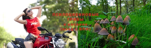мефедрон Гвардейск