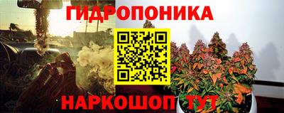 каннабис Берёзовский