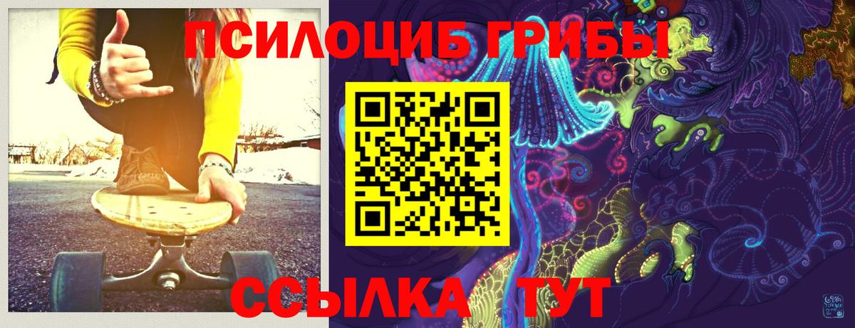 Псилоцибиновые грибы прущие грибы Выборг
