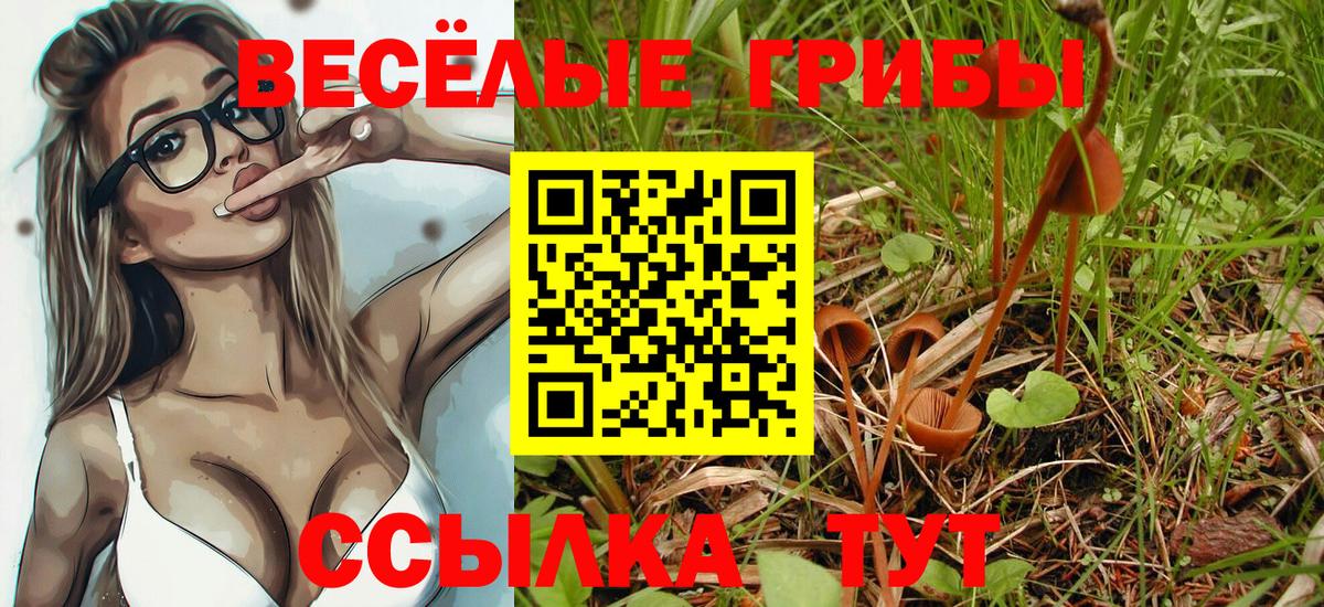 Галлюциногенные грибы Cubensis  наркотики  Выборг  Галлюциногенные грибы Magic Shrooms  Вход с VPN 